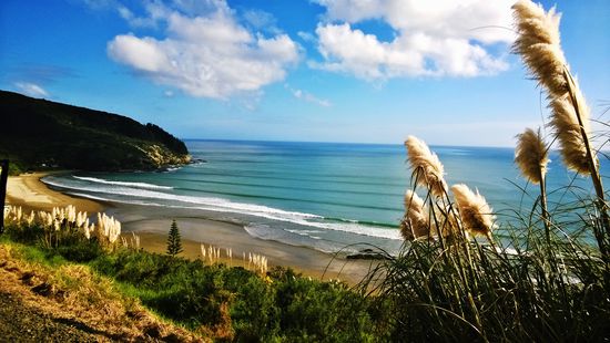 surfspot in ahipara