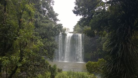 whangarei - letzter wasserfall (von vielen) in neuseeland