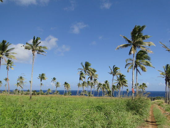 farmland in tonga