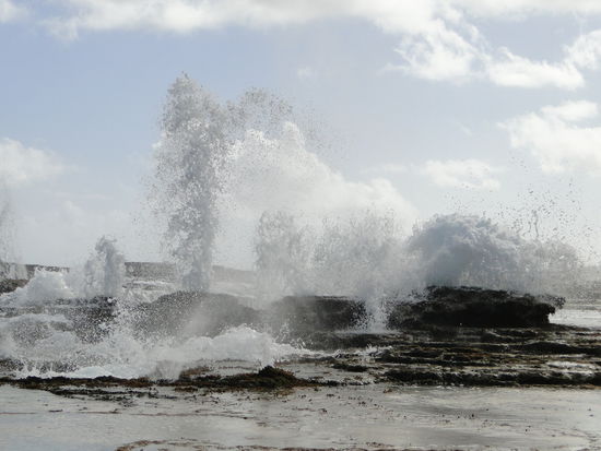 hunderte von blowholes