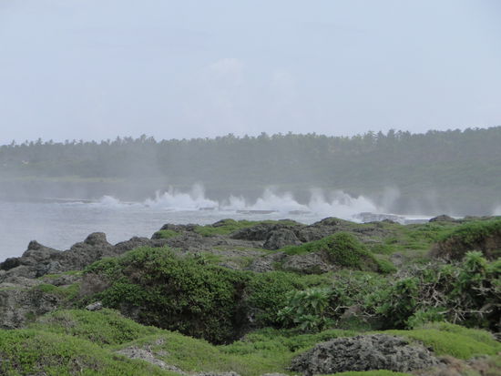 die steile küste von tonga mit all den blowholes - eindrücklich