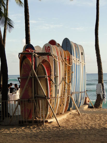 longboards soweit das auge reicht