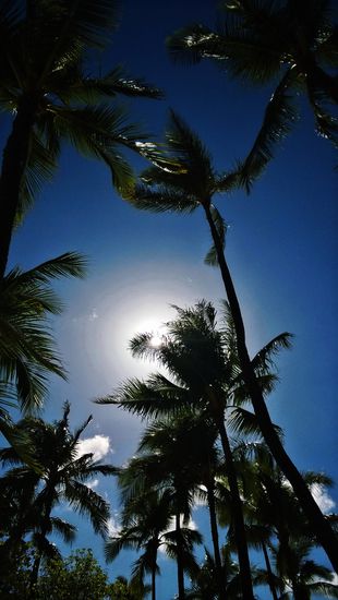 waikiki beach - aus der optik einer liegenden (oder sich sonnenden) person