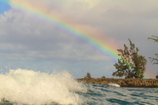north shore - mein surfspot