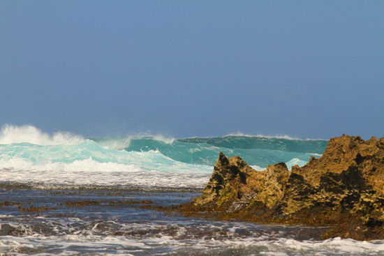 north shore - mein surfspot