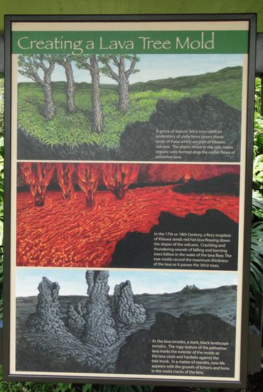 lava trees