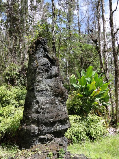 lava trees
