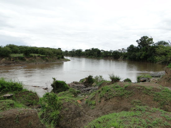 stelle der migration am mara river