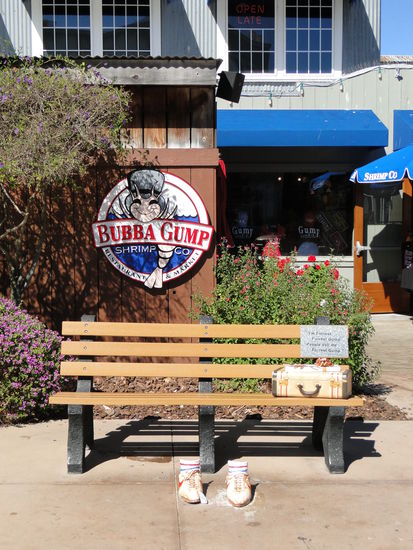 monterey - my name is gump, forrest gump!