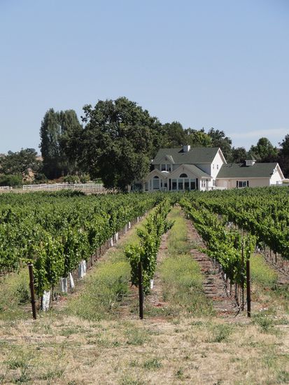 kalifornische weingegend