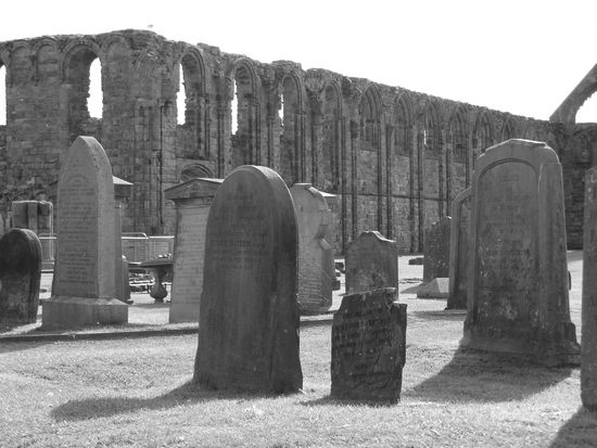 schottland black &amp; white