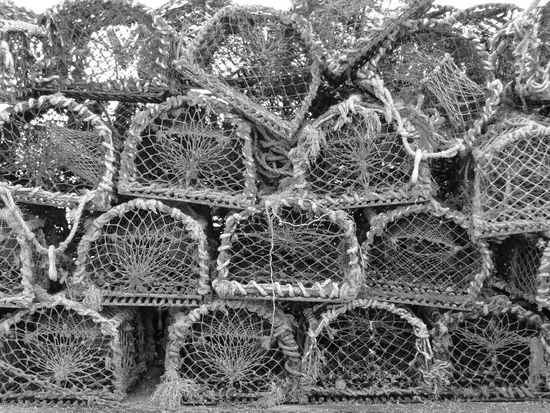 schottland black &amp; white