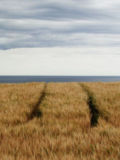 unterwegs in den weiten schottlands