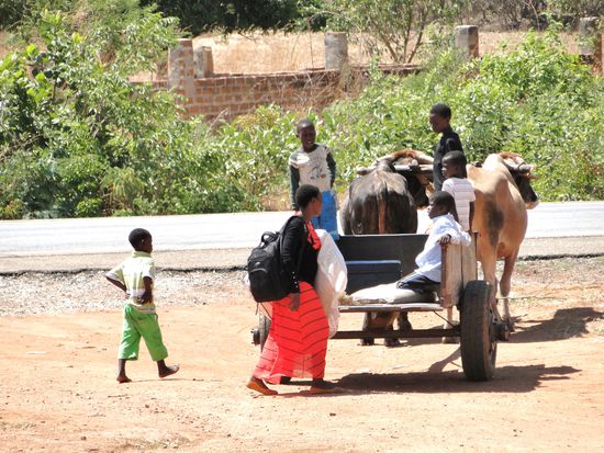 unterwegs in sambia...