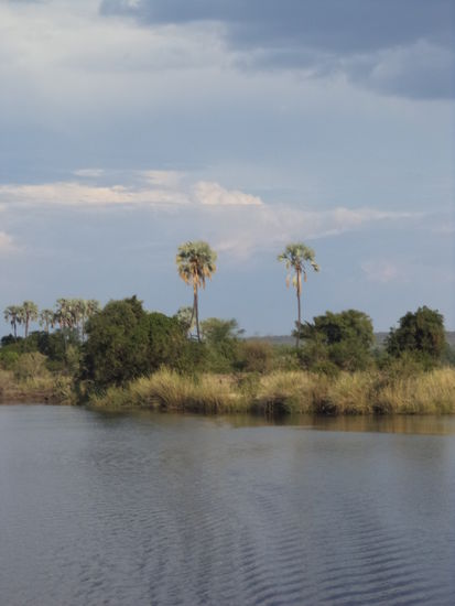 zambesi sunset cruise