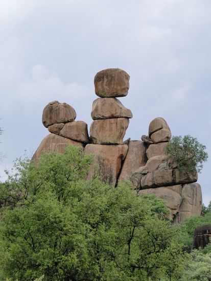 matobos national park - steinformation mum and baby in the back
