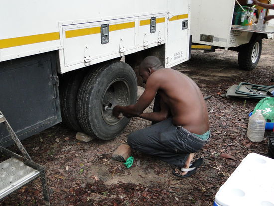 platten, gehört auch dazu...