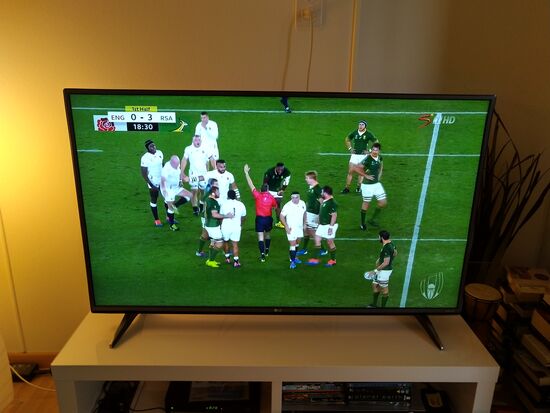 immer wieder schön: springboks sind rugby-weltmeister!