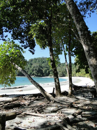 manuel antonio