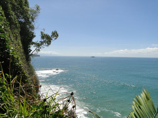 manuel antonio