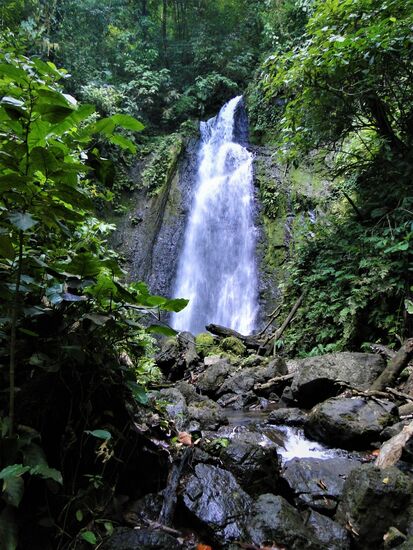 wasserfall - mitten im dschungel und nur schwer zu erreichen