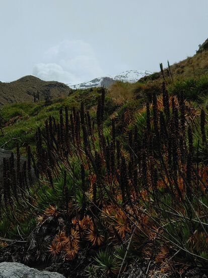 nevado del ruiz mit rauch