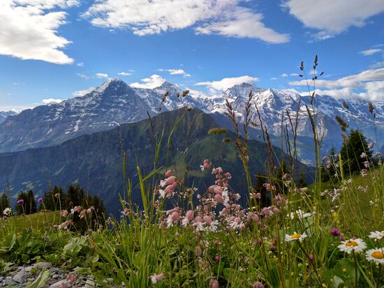 eiger, mönch und jungfrau
