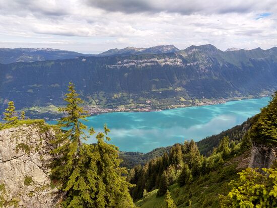 aussicht auf den brienzersee von der schynigen platte