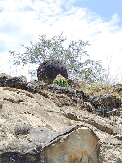 graue tatacoa wüste