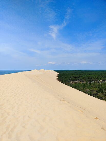 dune du pilot