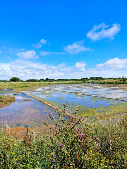 guerande