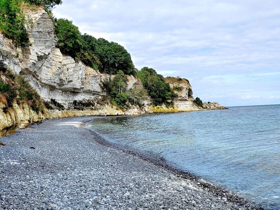 stevns klint - kalk kliffen