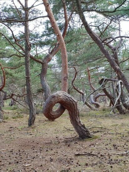 haverdals natur reservat