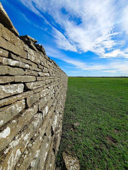 königlicher schutzwall gegen die damhirsche, ohne erfolg