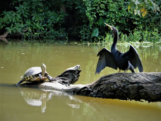 wer hat die bessere pose?