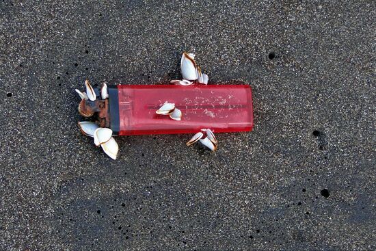 angeschwemmter müll - war schon länger unterwegs und wohl nicht von costa rica. die strände sind sonst sehr sauber