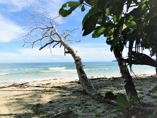 cahuita national park