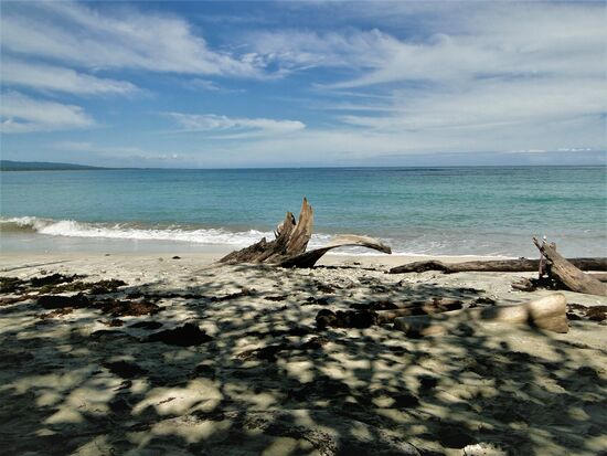 karibik küste von costa rica