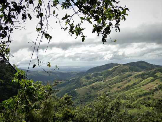 hochland nebelwald und hinten schon die pazifikküste zu erkennen