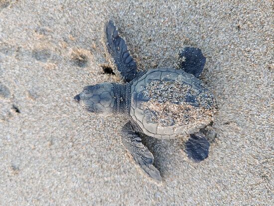 auf dem weg richtung ozean...