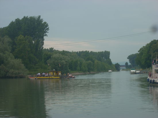 Die Ginsheimer Fähre. Einen Meter länger und man kann rüberlaufen.