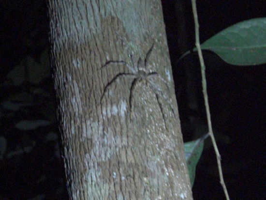 Nett, oder?? Sie hatte Haare!!! 