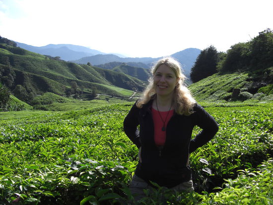 Hier stehe ich mitten im Tee.....! Schaut euch den Hintergrund an!! Wow, oder?