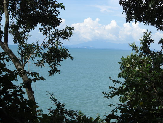 ...hat doch was, oder? Da schmeckt so ein Shake gleich zweimal so gut!!