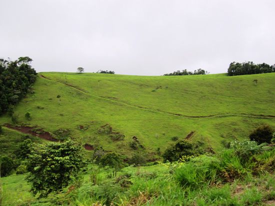 Atherton Tablelands
