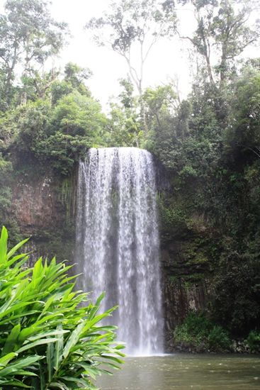 Millaa Millaa Falls