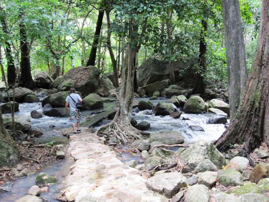 der Walk zu den Jourama Falls