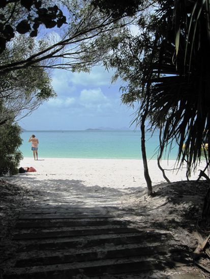 Whitehaven Beach - hier möchte man stranden wie Robinson Crusoe
