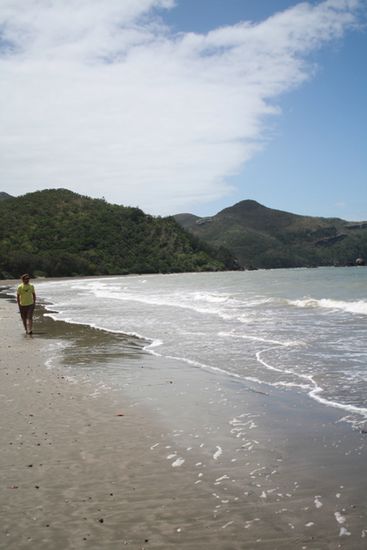 Beach Cape Hillsborough