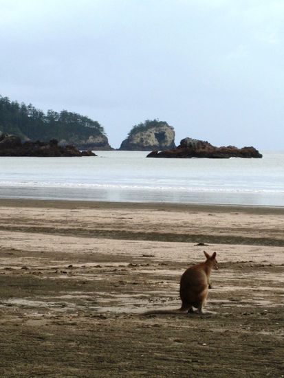 ...am Strand